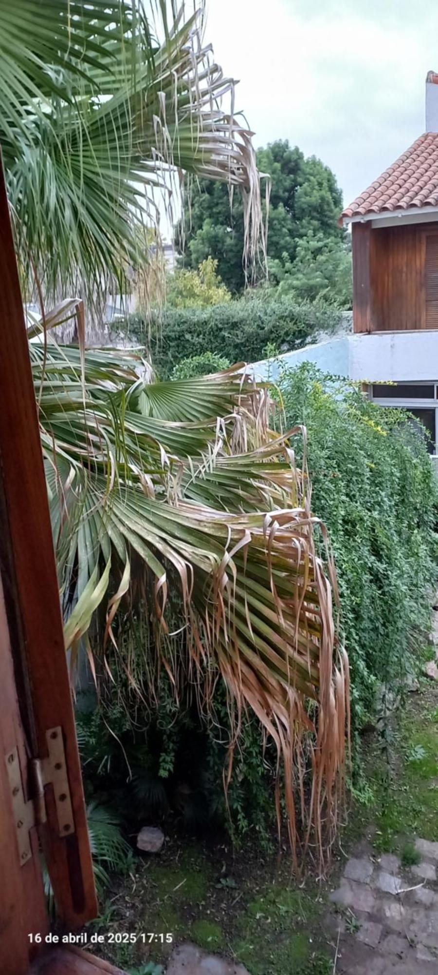Ezeiza Bed And Breakfast Buitenkant foto